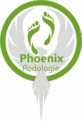 new-podologie-phoenix.de